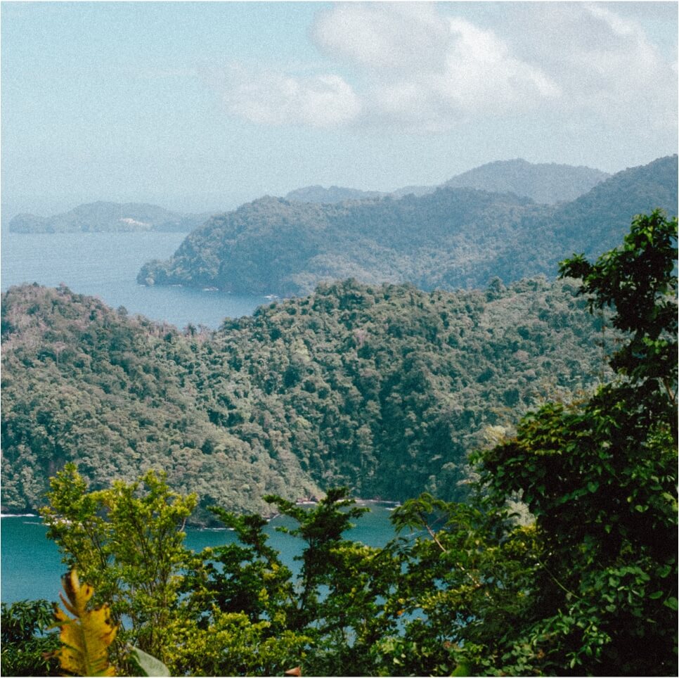 Caribbean Countryside