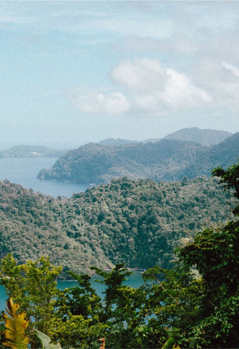 Caribbean Views